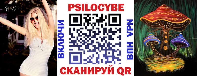 Псилоцибиновые грибы Psilocybe  как найти закладки  Мурино 